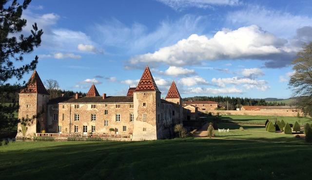 Château Monument Historique - Beaujolais Vert - 4/8 pers. (95/160 m²) - Swimming pool