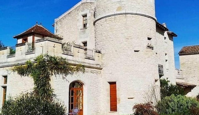 Château proche St Emilion dans un vignoble
