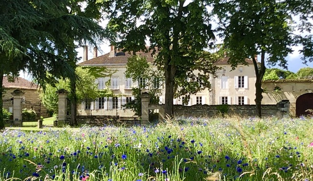 Château Rouge 47