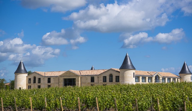 Château Tour Saint-Fort