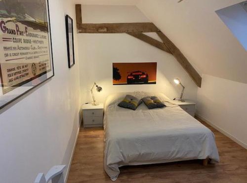 Château XIXème près du Mans : Piscine, Parc, Proche Forêt et Cité Médiévale - FR-1-410-354