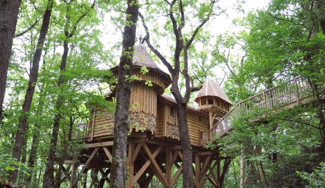 Châteaux dans les Arbres