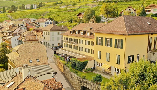 Châtonneyre Hôtel et Restaurant
