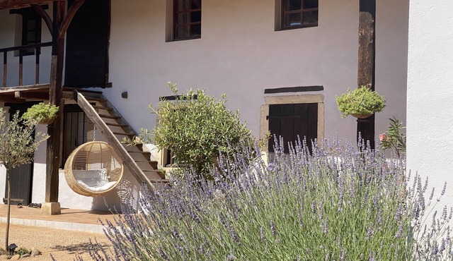 Charming house with swimming pool