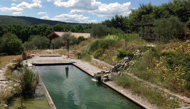 Charming cottage in the Cèze Valley
