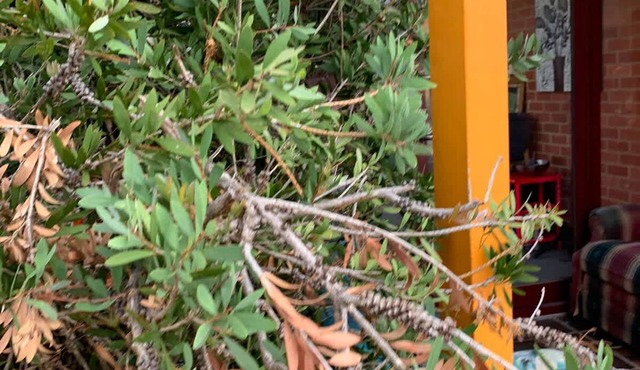 Chadstone Holiday W6 Villa