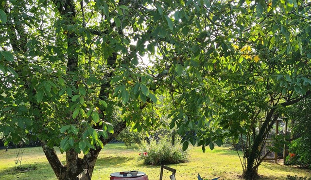 Chagall room in a quiet farmhouse