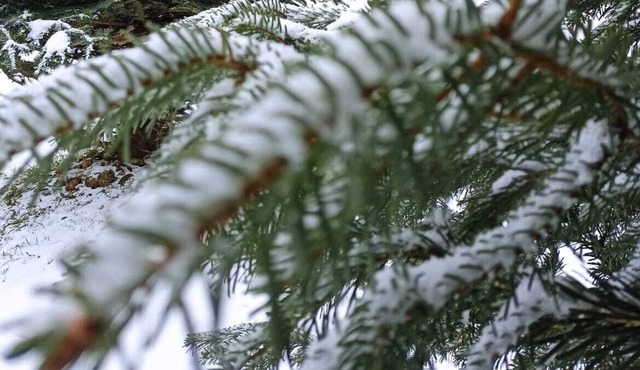 Chalet à 200m des Thermes