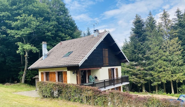 Chalet 10 people, 10 mins from Gérardmer, in the heart of nature