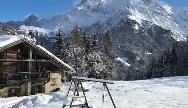 Chalet 10 pers, on the slopes, Mont Blanc view