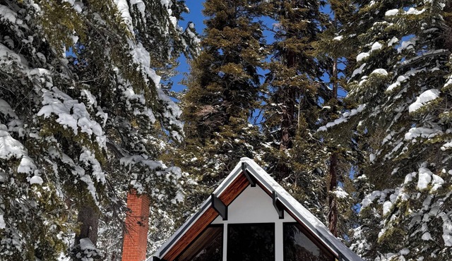 Chalet #12, Slope Side Ski in Ski Out Spacious Fam