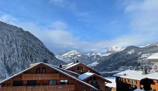 Chalet 15 people in the village center - Chatel Reservation