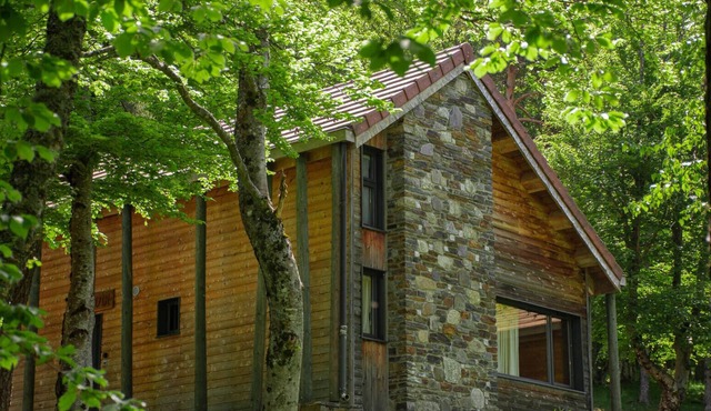 Chalet 2/4 pers à la Bastide-PuyLaurent LZV035C