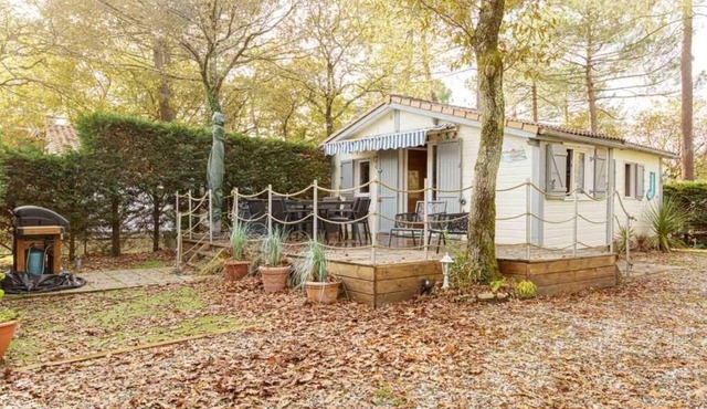 Chalet 213 on the edge of a forest