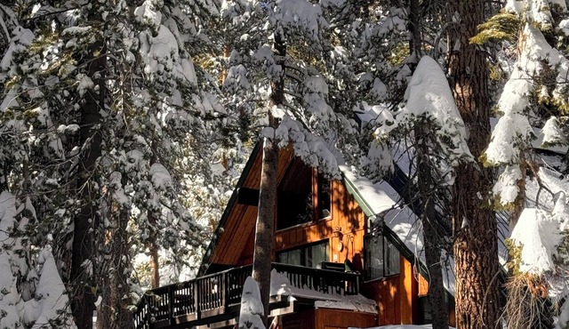 Chalet #23, Ski in/Out,Slope-Side Steps to Main Lo