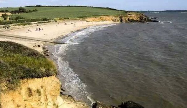 Chalet 3 étoiles - Piscine - eebc00