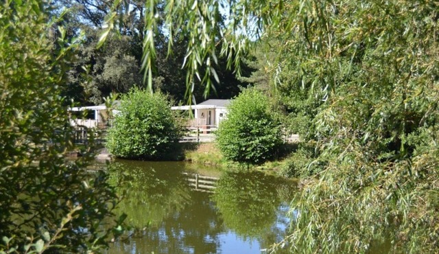 Chalet 3 étoiles - Piscine - eeid0e