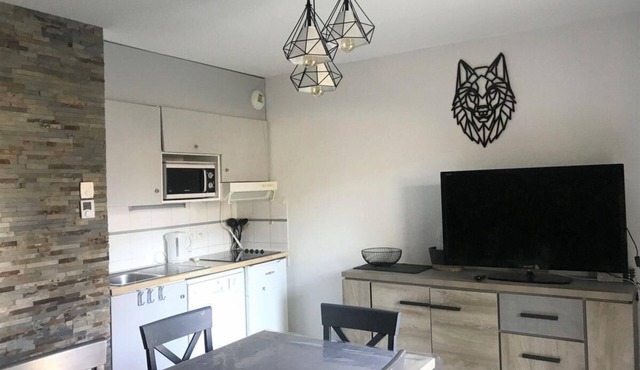 Chalet, 350m from ski slopes, fitness, terrace, balcony, parking, tv, ski locker, 43m²