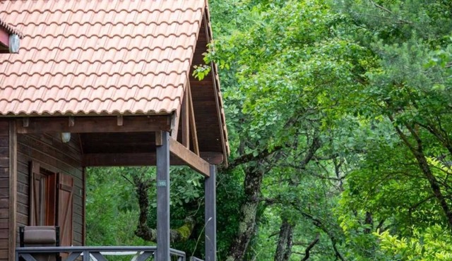 Chalet 4 étoiles - Piscine - ccaifhi