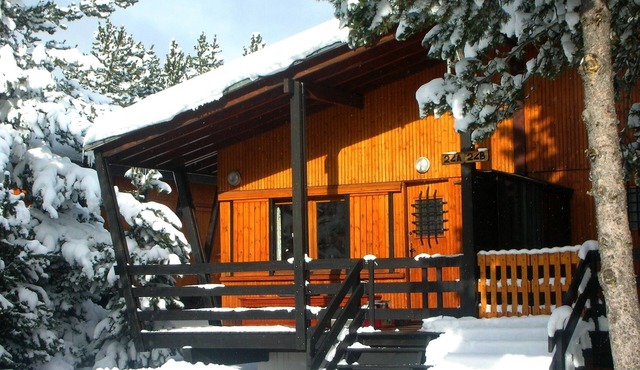 Chalet 4/5 people in Pyrénées 2000 in a pine glade near Font Romeu