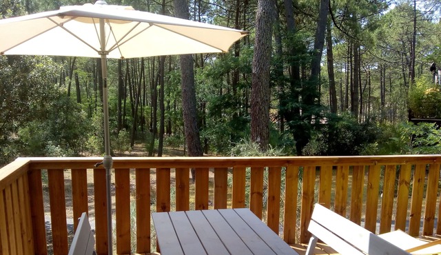 Chalet 4-6 people under the pines at Bombannes
