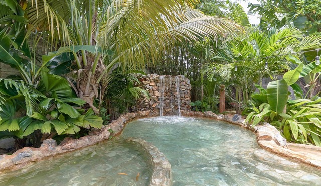 Chalet #4 Caribbean, grand pool villa at Chalet Tropical bio-hotel