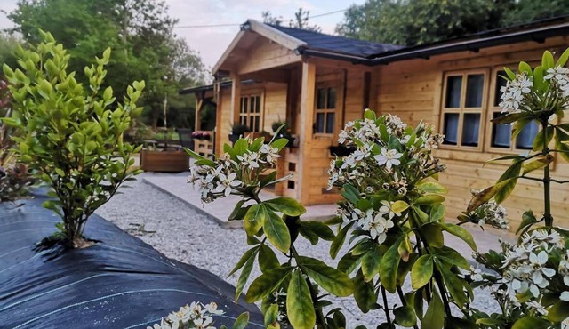 chalet 5/6 pers à 15 minutes des plages et baie de Douarnenez