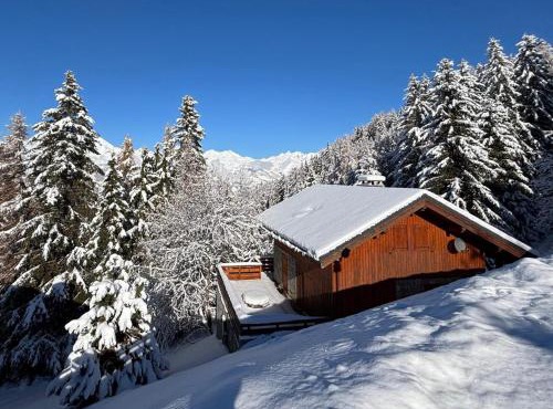 Chalet 5 pièces Vallandry, 12 pers, animaux admis, parking, WiFi - FR-1-411-545