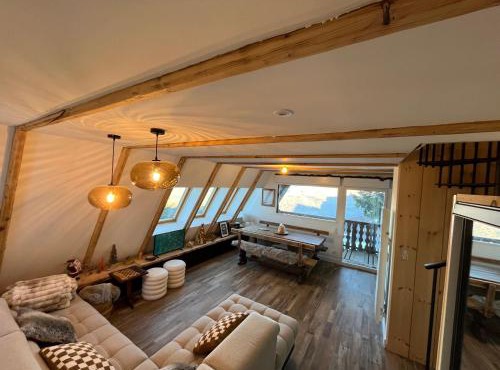 Chalet 6-8 pers St Lary Alt1700m -100mdespistes classé 4 étoiles