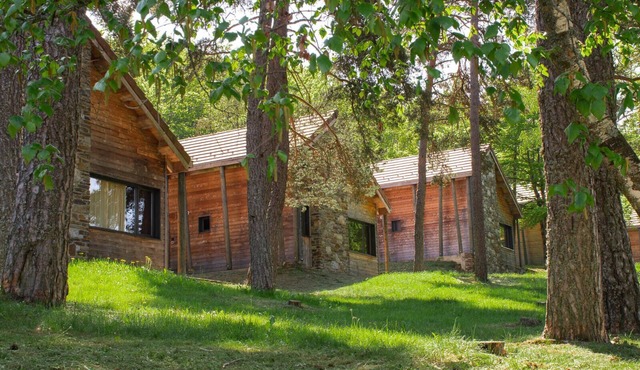 Chalet 6-8 pers à la Bastide-PuyLaurent - LZV035D0