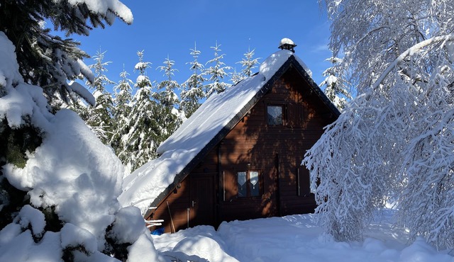 CHALET 70 m2 - 6 PERS - near MONT DORE/SUPER BESSE - 1000 m2 enclosed - WI-FI