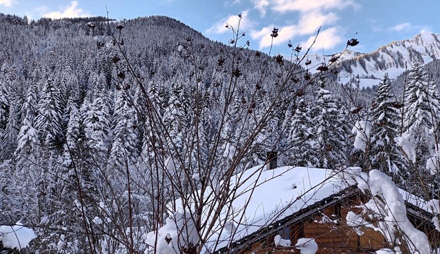 Chalet 8 people near the slopes