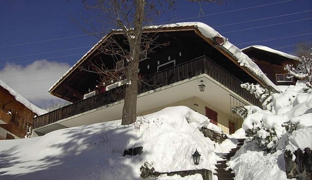 Chalet Abigrot 4-bed flat
