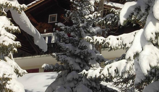 Chalet Abigrot 4-bed flat