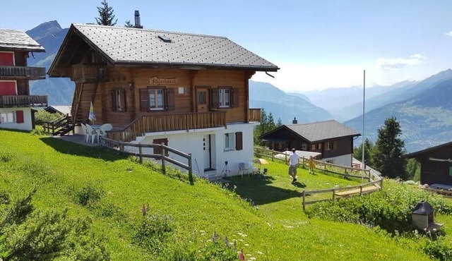 Chalet Adlerhorst ground floor 3.5 room flat