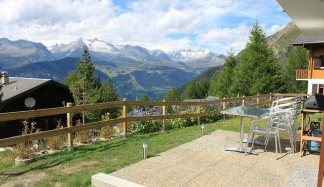 Chalet Adlerhorst ground floor 3.5 room flat