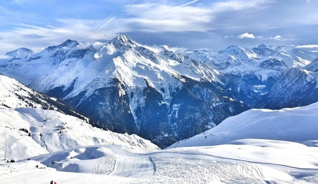 Chalet ALOUETTE RARE confort 4* La Plagne Champagny proche Pistes Shops