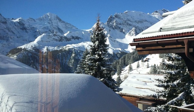 Chalet Alpenblick Apartment, 2 bed rooms, 4 beds