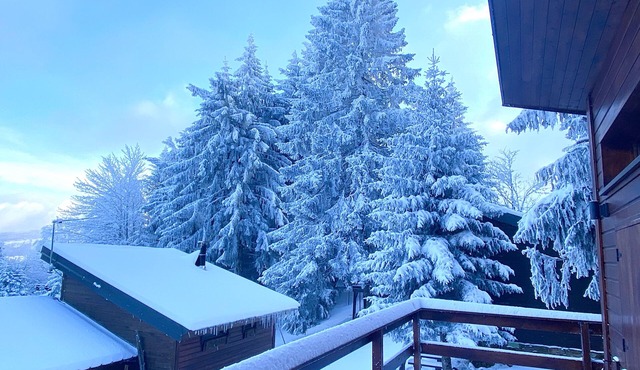 CHALET AMID SNOW-COVERED FIR TREES
