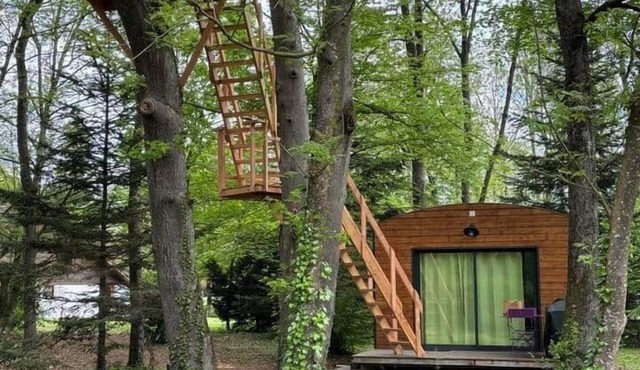 Chalet and terrace perched in the trees