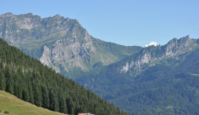 Chalet apartment Bellevaux La Chèvrerie 4 to 6 people