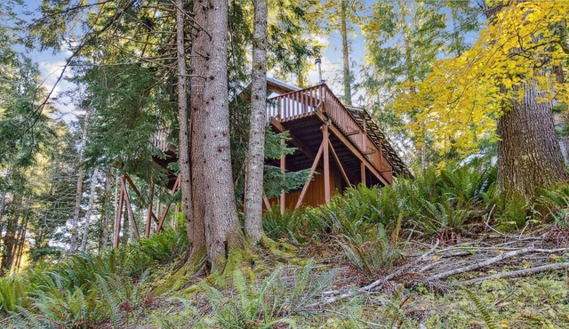 Chalet At Rainier Lodge 3 Bedroom Cabin