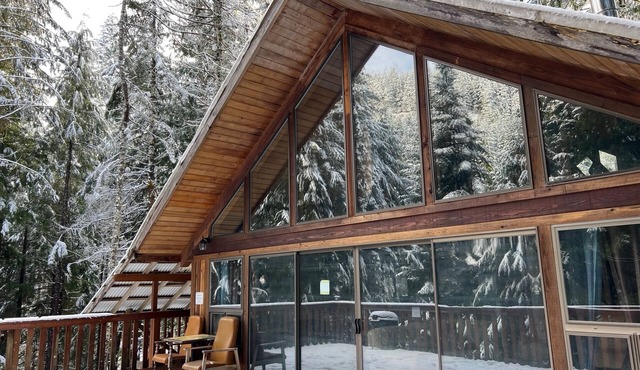 Chalet at Rainier Lodge - 0.4 mi to Mt. Rainer