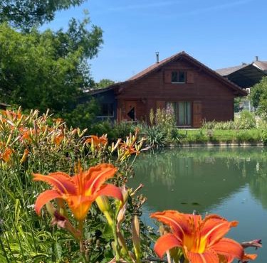 Chalet au bord d'un étang