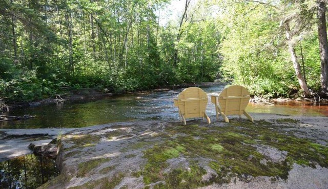 Chalet au Coeur de la Forêt et Rivière