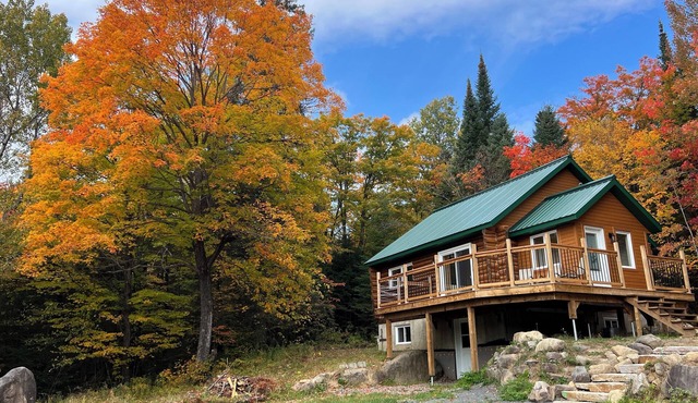Chalet au toit vert