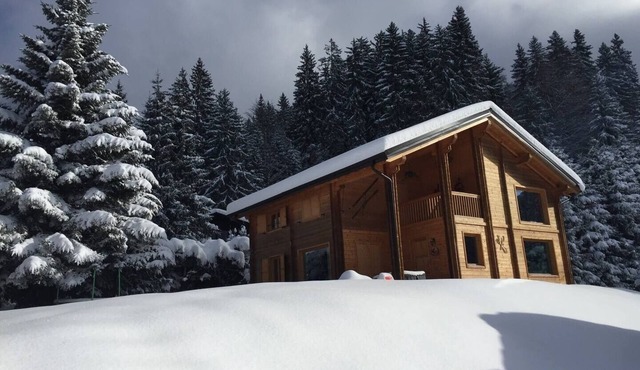 Chalet aux Cerfs - Maison pour 10 vue montagne