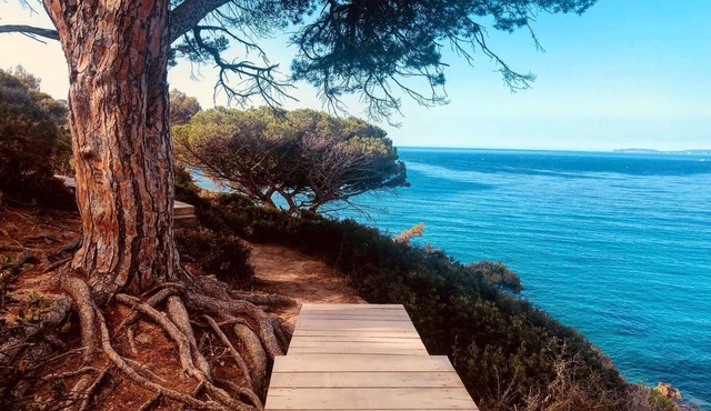 Chalet Avec une vue mer à Couper le Souffle à 5 km de St Tropez