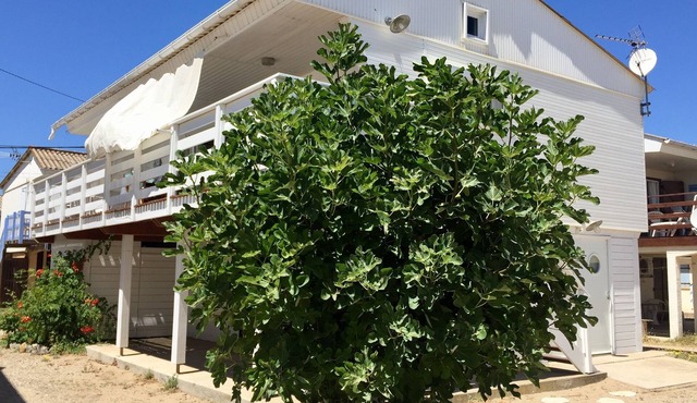 CHALET BEACH EDGE IN GRUISSAN