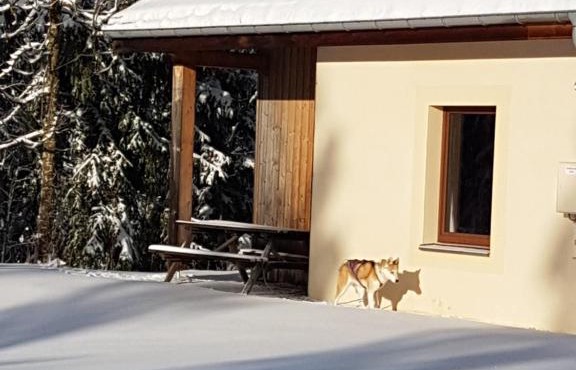 Chalet Beaujon Chapelle-des-Bois